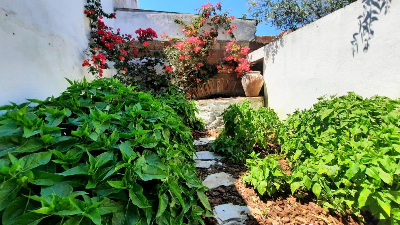 Casa Do Compadre - Casas De Taipa Villa São Pedro do Corval Kültér fotó